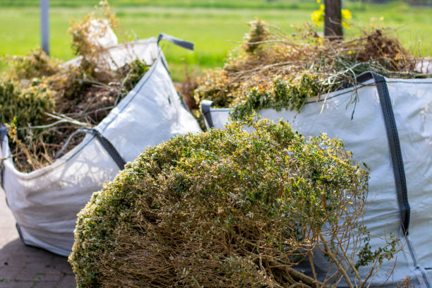 Best Residential Junk Removal  in Alexandria, MN