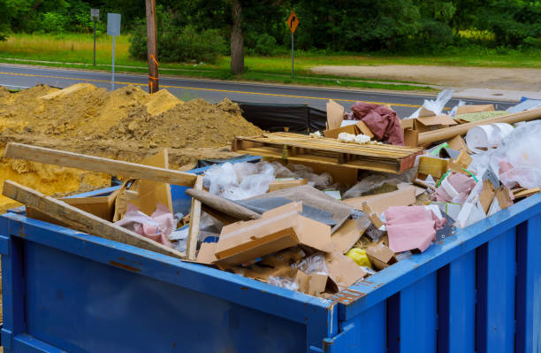 Best Carpet Removal and Disposal  in Alexandria, MN